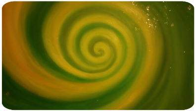 Grüne Spiralle